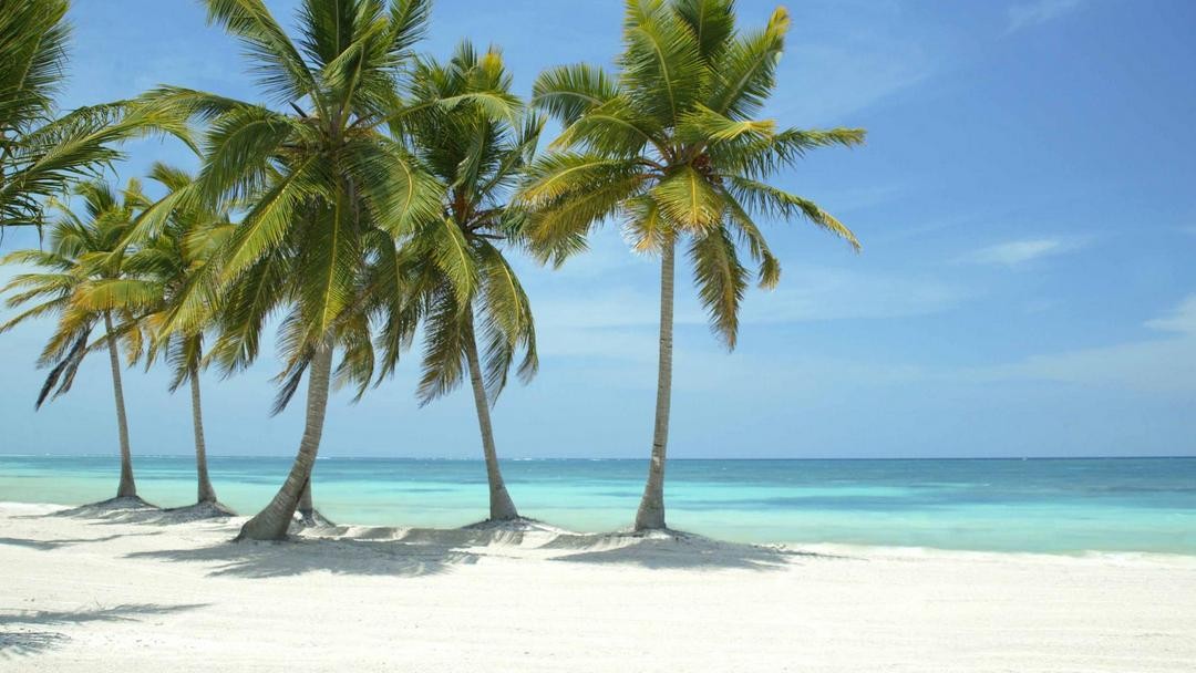 A typical white sandy Caribbean beach